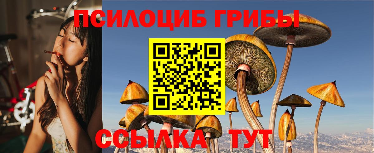 Псилоцибиновые грибы MAGIC MUSHROOMS  Вход с VPN  Йошкар-Ола 